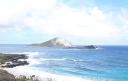 Makapuu Beach Park